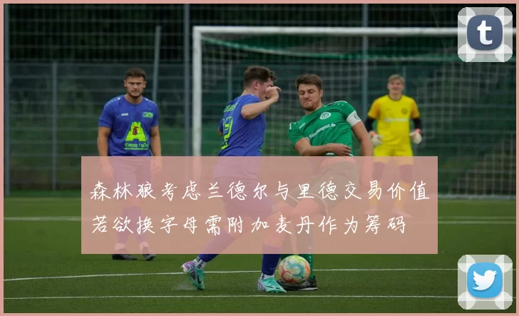 森林狼考虑兰德尔与里德交易价值若欲换字母需附加麦丹作为筹码