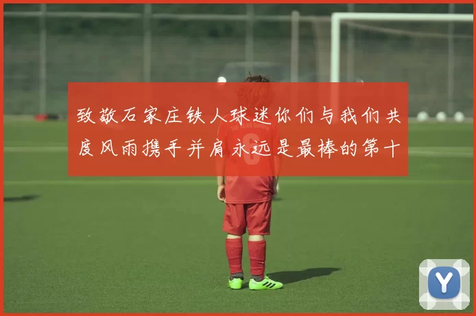 致敬石家庄铁人球迷你们与我们共度风雨携手并肩永远是最棒的第十二人